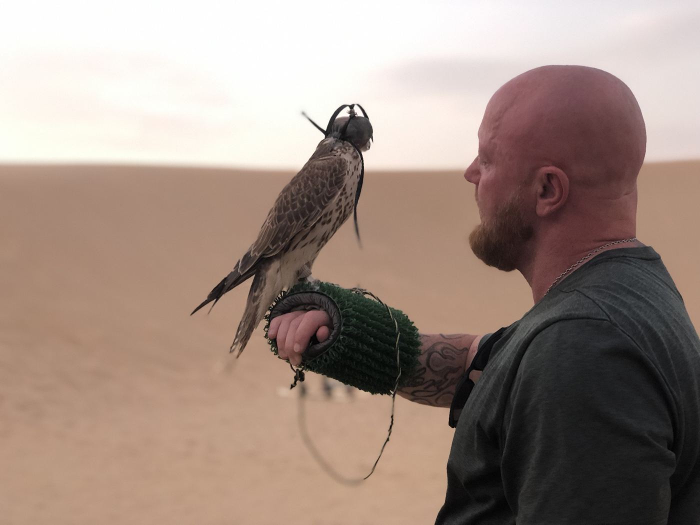 Olav Pirmajer mit einem Falken in der Wüste